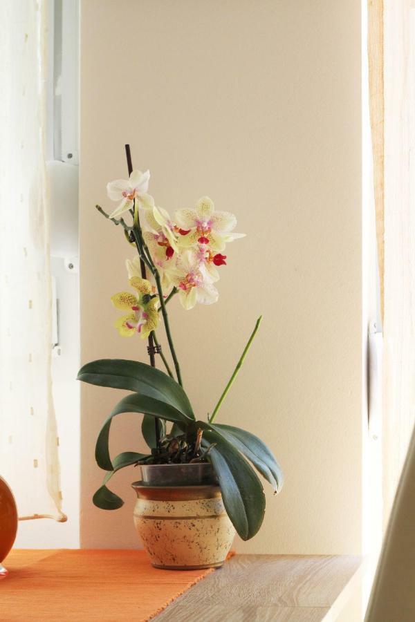 Apartment Totko Split Luaran gambar